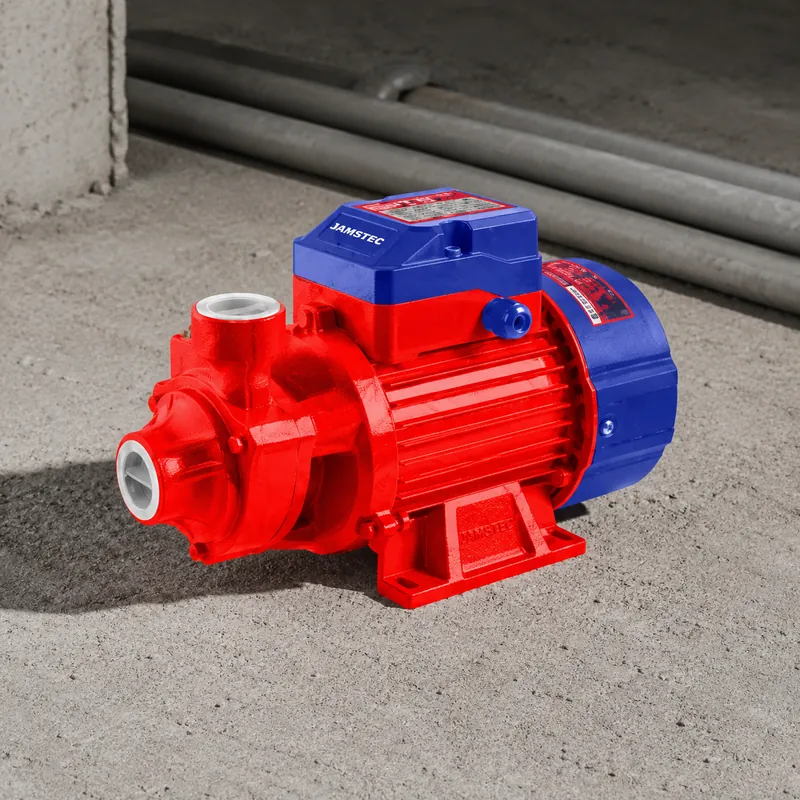 Bomba Ladrona 0.5 Hp Emtop — vista 2