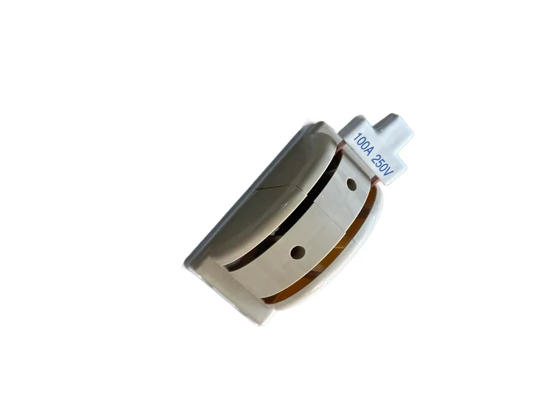 Switch Doble Tiro Japones 2p 100 Amp — vista 3