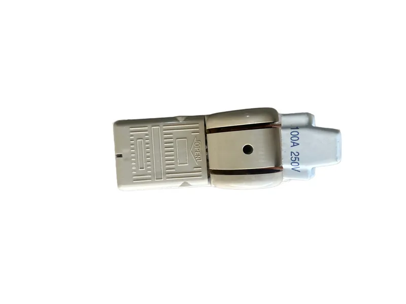 Switch Sencillo T/Japones 2p 100 Amp — vista 2