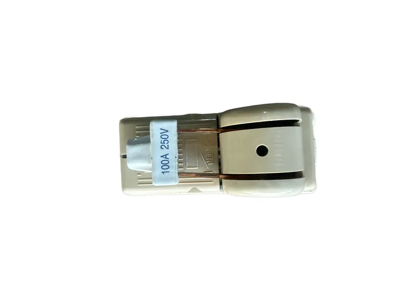 Switch Sencillo T/Japones 2p 100 Amp