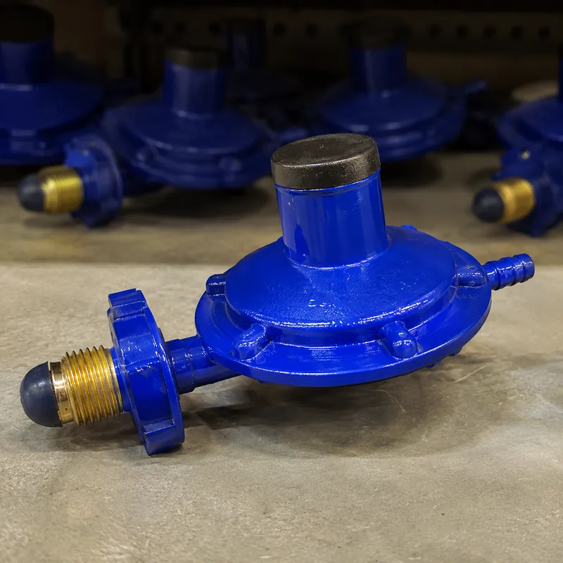 Regulador De Gas Azul Grande Pesado Sm-888 300g — vista 2
